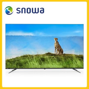 تلویزیون های اسنوا